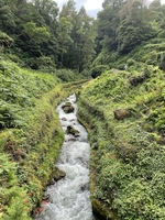 Ocean sailing and exploring Azores archipelago — sailing photo 91