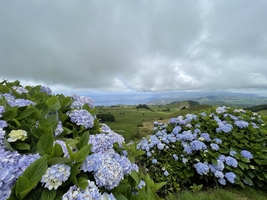 Ocean sailing and exploring Azores archipelago — sailing photo 86