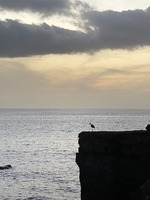 Sailing around Cape Verde and to the Canaries — sailing photo 150