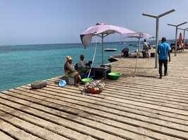 Sailing around Cape Verde and to the Canaries — sailing photo 138
