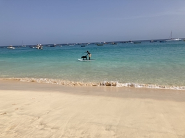 Sailing around Cape Verde and to the Canaries — sailing photo 137