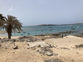Sailing around Cape Verde and to the Canaries — sailing photo 126