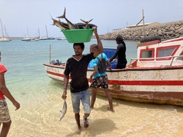Sailing around Cape Verde and to the Canaries — sailing photo 125