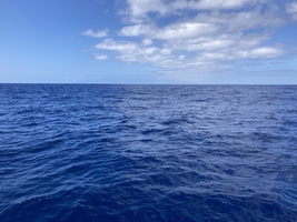 Sailing around Cape Verde and to the Canaries — sailing photo 54