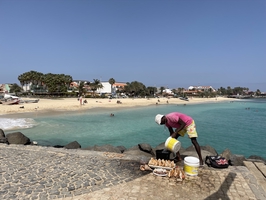 Sailing around Cape Verde and to the Canaries — sailing photo 36