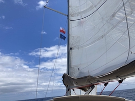 Almost 1500 miles sailed in 18 days ... — sailing photo 60