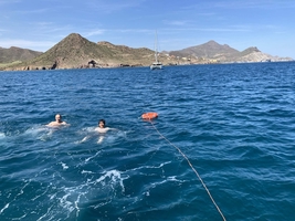 Almost 1500 miles sailed in 18 days ... — sailing photo 38