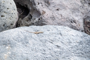 Almost 1500 miles sailed in 18 days ... — sailing photo 17