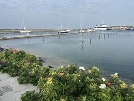 Sailing the Danish Straits and Kattegat (Denmark) — sailing photo 36