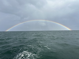 Sailing the Danish Straits and Kattegat (Denmark) — sailing photo 16