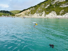 Mile builder in the English Channel via Scilly and Channel islands — sailing photo 174