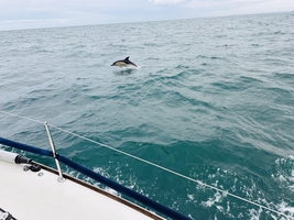 Mile builder in the English Channel via Scilly and Channel islands — sailing photo 118