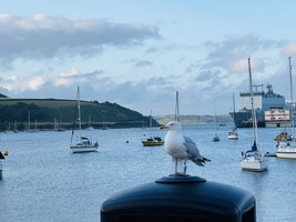 Mile builder in the English Channel via Scilly and Channel islands — sailing photo 109