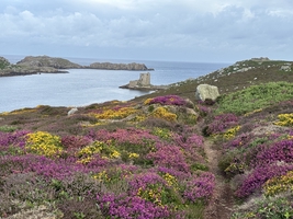 Mile builder in the English Channel via Scilly and Channel islands — sailing photo 82
