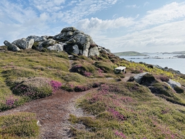 Mile builder in the English Channel via Scilly and Channel islands — sailing photo 80