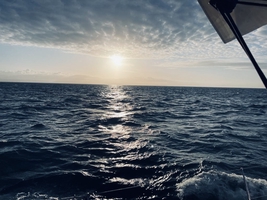 Mile builder in the English Channel via Scilly and Channel islands — sailing photo 185