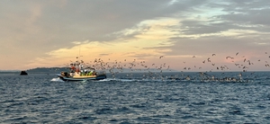 Sail the Atlantic Ocean: Atlantic Spain and Portugal, Vigo to Porto and back — sailing photo 113