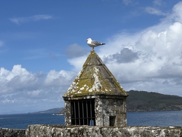 Sail the Atlantic Ocean: Atlantic Spain and Portugal, Vigo to Porto and back — sailing photo 78