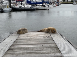 Sailing the Baltic and North Sea (Germany, Denmark, Sweden) — sailing photo 94