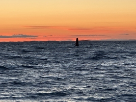 Sailing from Flensburg (Germany) to Norway via North Sea and back through West Sweden and Denmark — sailing photo 37