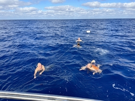 Sailing across the Atlantic Ocean from Atlantic France to the Caribbean — sailing photo 113
