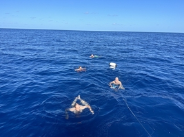 Sailing across the Atlantic Ocean from Atlantic France to the Caribbean — sailing photo 85