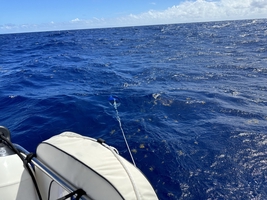 Sailing across the Atlantic Ocean from Atlantic France to the Caribbean — sailing photo 63