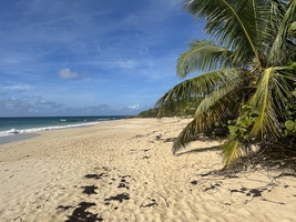 Sailing across the Atlantic Ocean from Atlantic France to the Caribbean — sailing photo 19