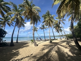 Sailing across the Atlantic Ocean from Atlantic France to the Caribbean — sailing photo 15