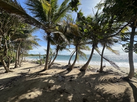 Sailing across the Atlantic Ocean from Atlantic France to the Caribbean — sailing photo 14