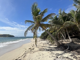Sailing across the Atlantic Ocean from Atlantic France to the Caribbean — sailing photo 13