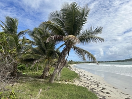 Sailing across the Atlantic Ocean from Atlantic France to the Caribbean — sailing photo 9