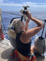Sailing across the Atlantic Ocean (West to East) — sailing photo 139