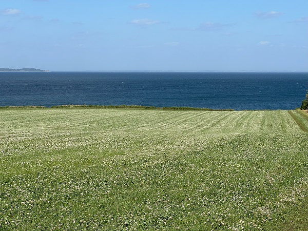Bågø island