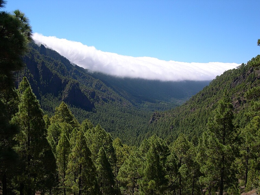 La Palma volcanic landscape