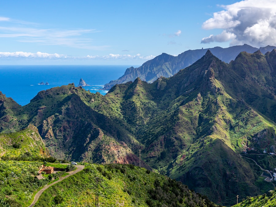 Tenerife's north coast
